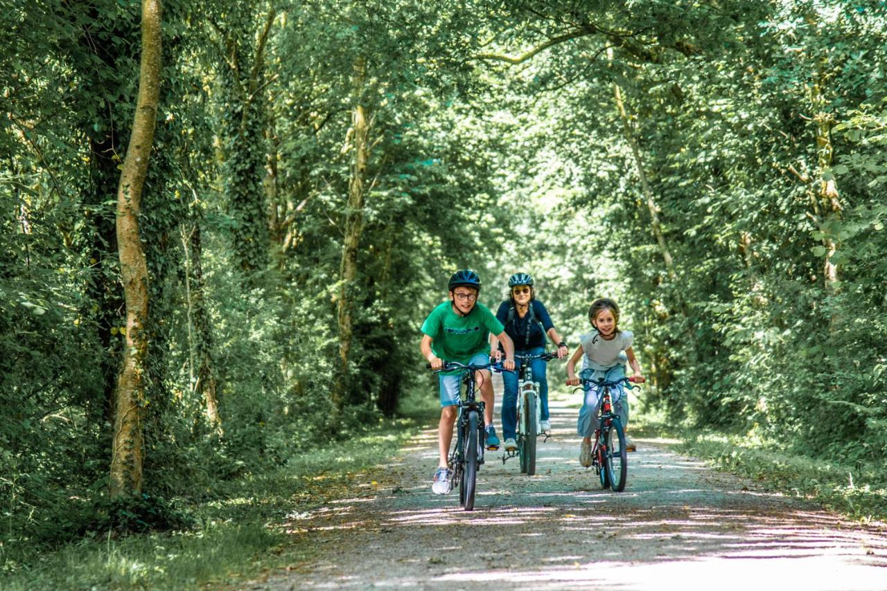 Gite Martin Pecheur Au Coeur De La Nature Moncoutant Ngoại thất bức ảnh